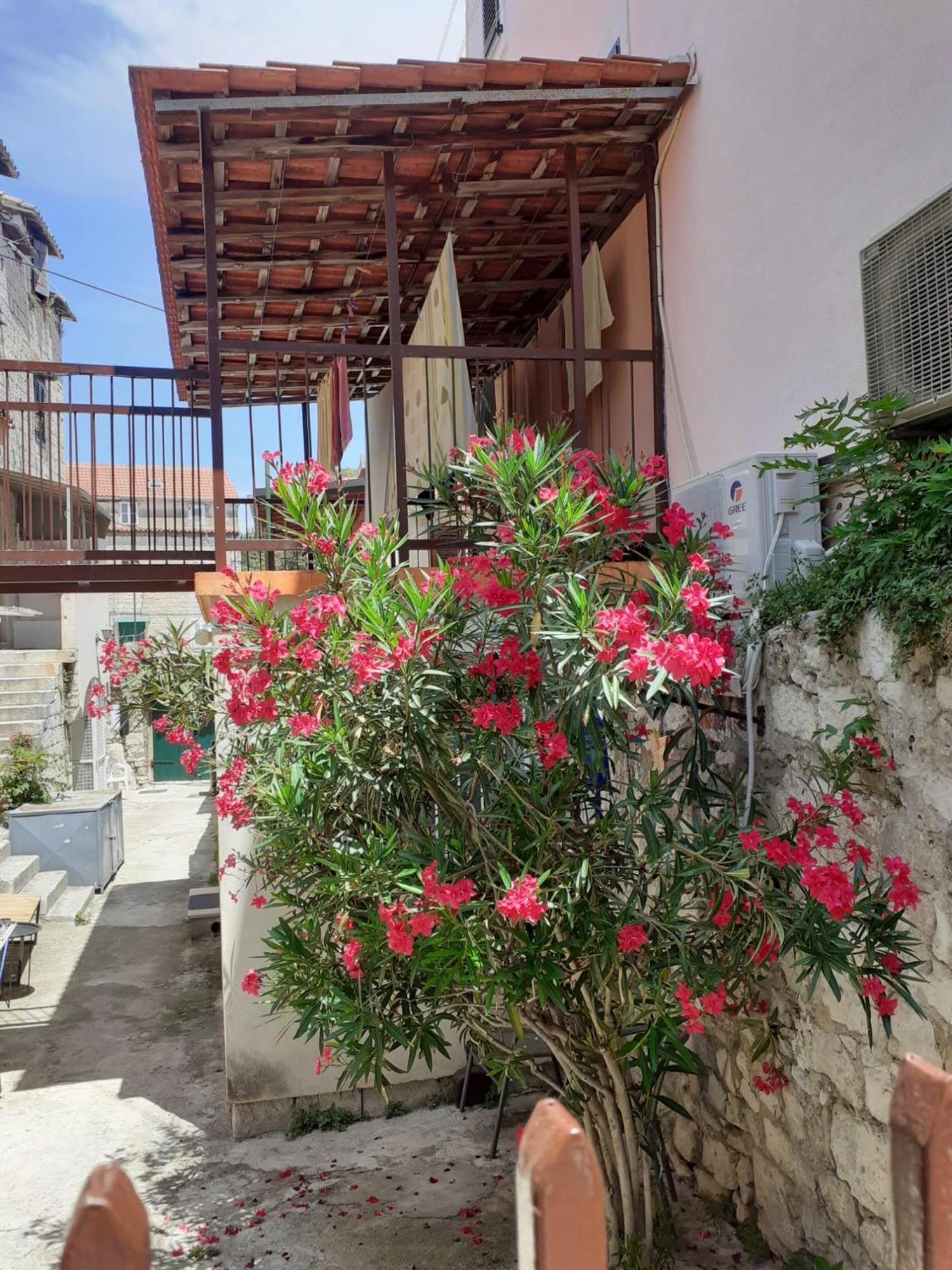 Oleander Apartments Σπλιτ Εξωτερικό φωτογραφία